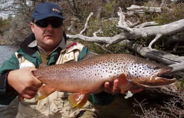Different Types of Trout And Where To Head To Catch One