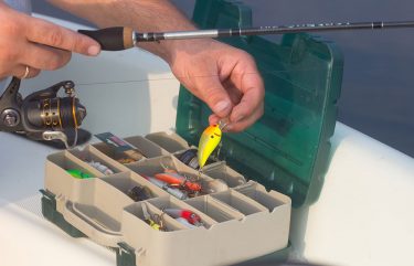 Square-Billed Crankbaits - Tips for Fishing in Florida