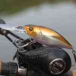Guide to Buying Crankbaits