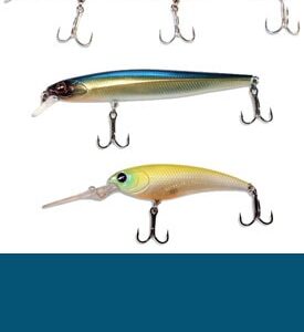 Minnow Baits