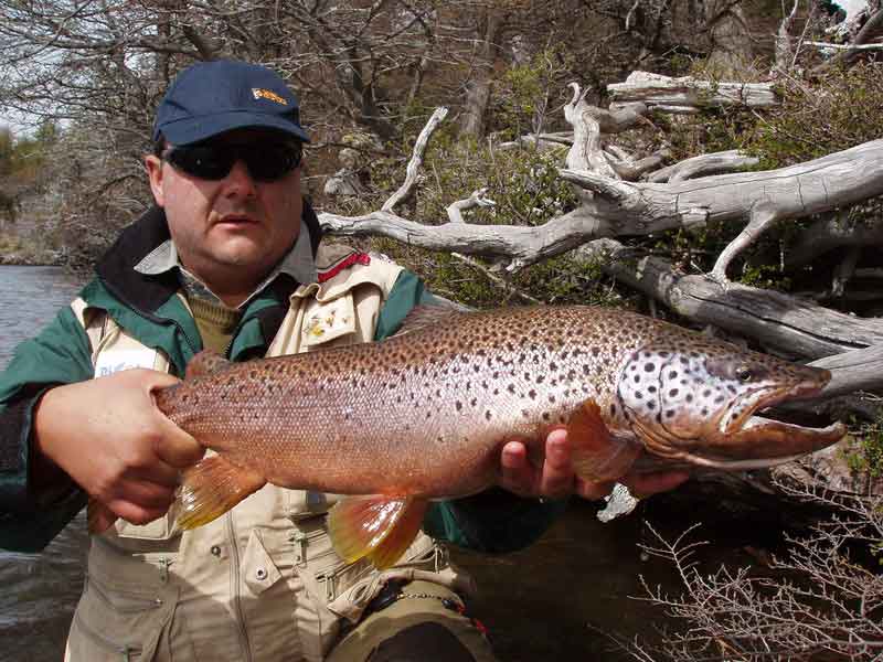 Different Types of Trout And Where To Head To Catch One