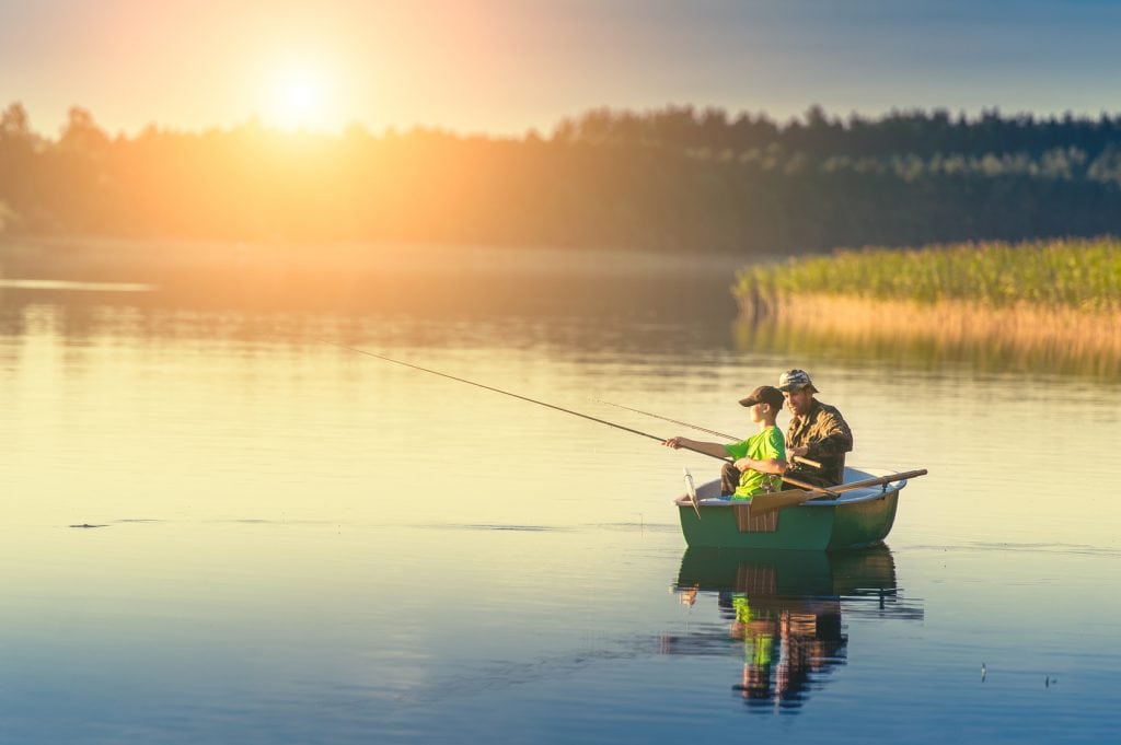 beat the heat: the secrets of summer fishing - yellow bird