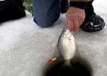 Top 5 Ice Fishing Locations in the USA