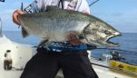 A Quick Reference Guide to Troll Fishing