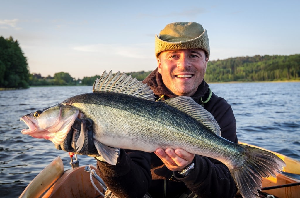 Walleye Fishing Tips to Catch a Trophy Fish - Yellow Bird Fishing Products