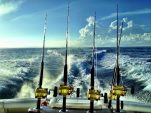 5 Must-Know Offshore Fishing Tips You Need For Success