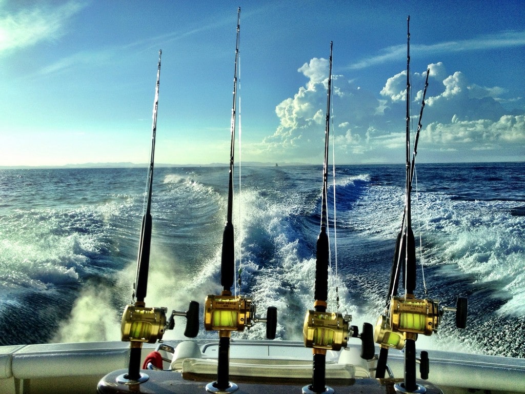 5 Must-Know Offshore Fishing Tips You Need For Success - Yellow Bird Fishing  Products