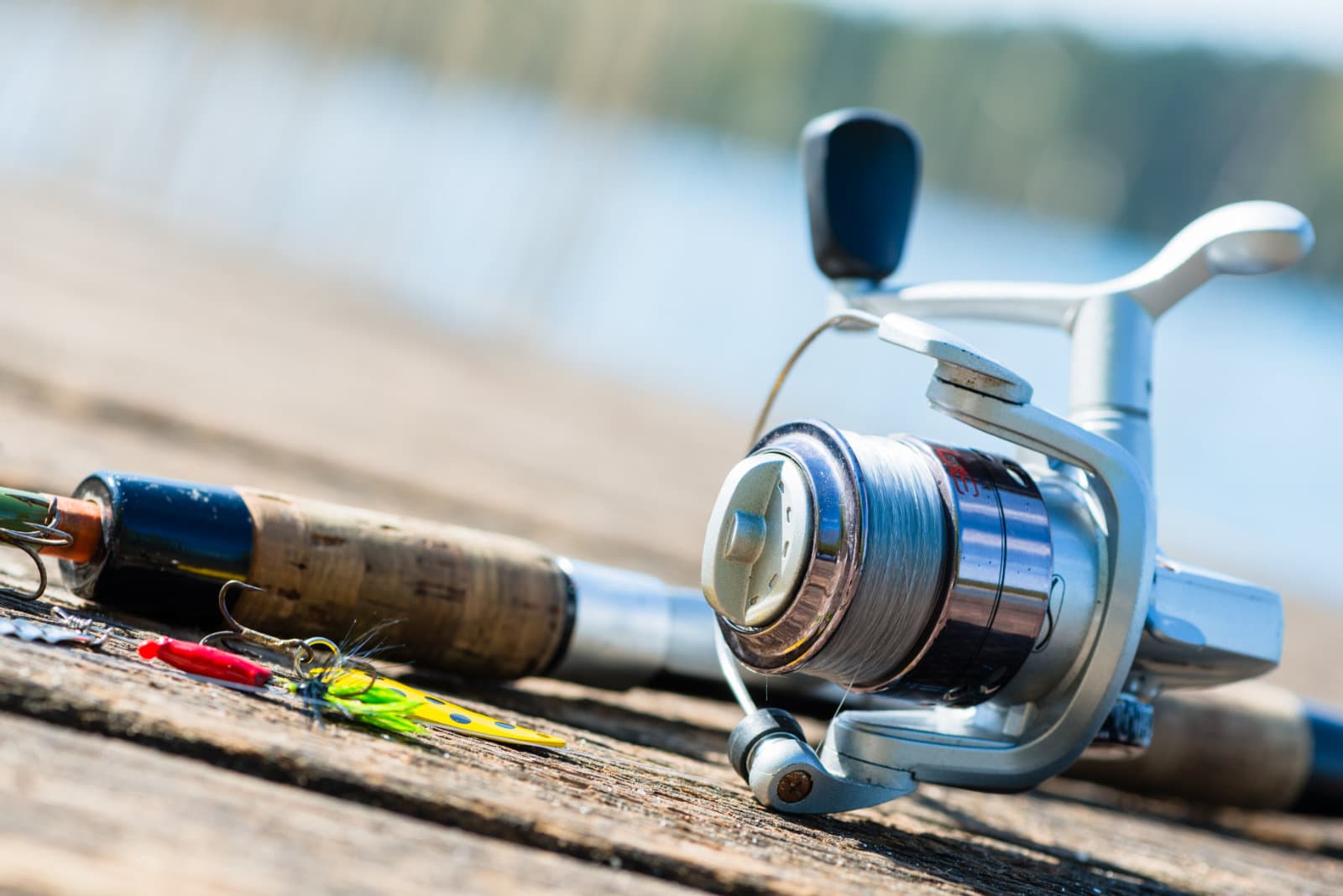 A Beginner's Guide To Basic Fishing Equipment Yellow Bird Fishing
