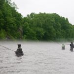 Fly Fish For Salmon