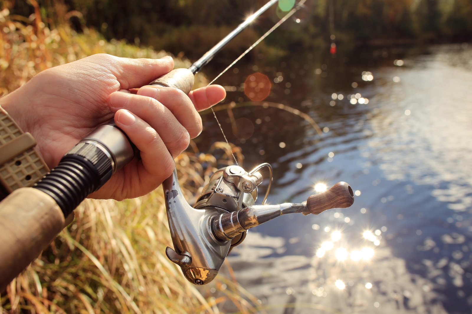 Ultra Light Fishing Rods, Fishing Tackle