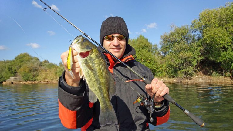 Get Hooked on Success Freshwater Fishing Tips and Techniques