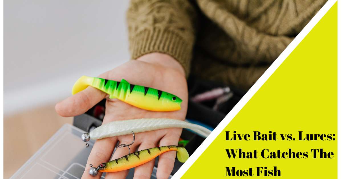 Live Bait vs. Lures Which Is More Efficient In Catching Fish