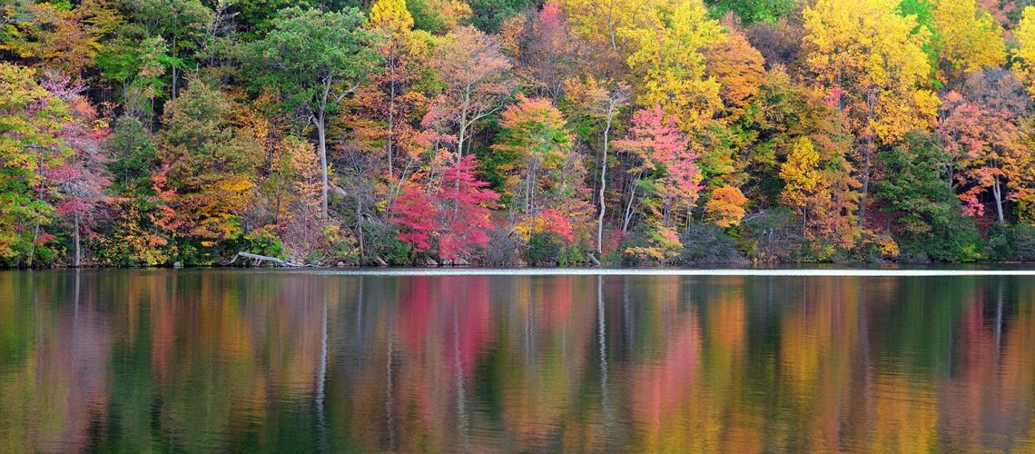 5 Lakes To Fish this Fall