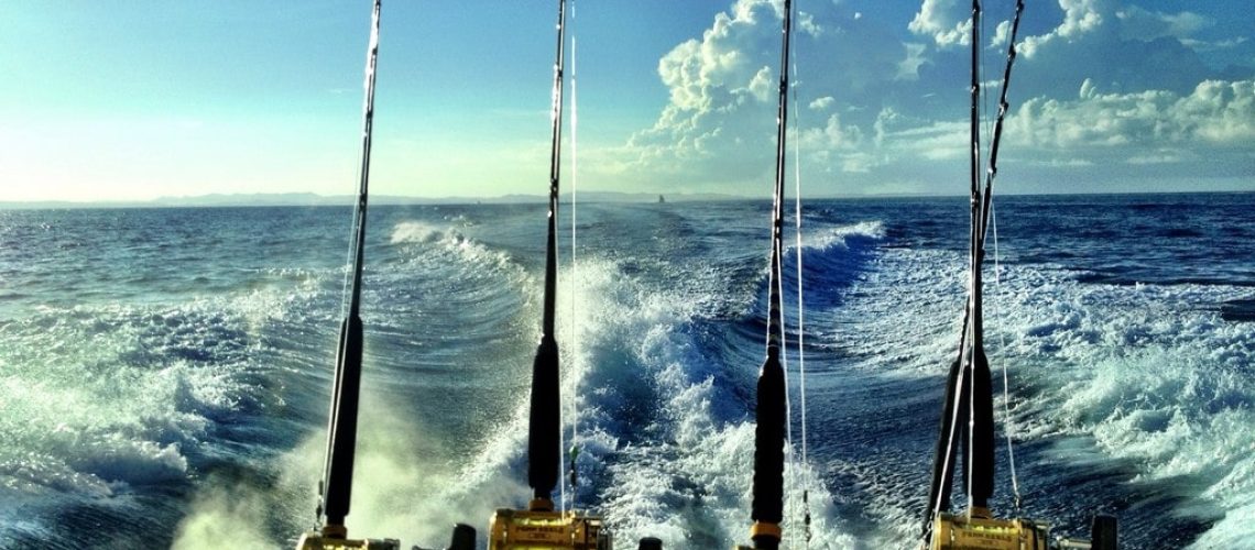 5 Must-Know Offshore Fishing Tips You Need For Success - Yellow
