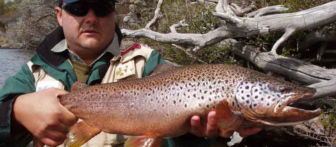 Different Types of Trout And Where To Head To Catch One