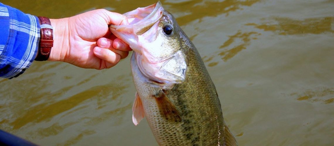 Fishing Lake Cumberland