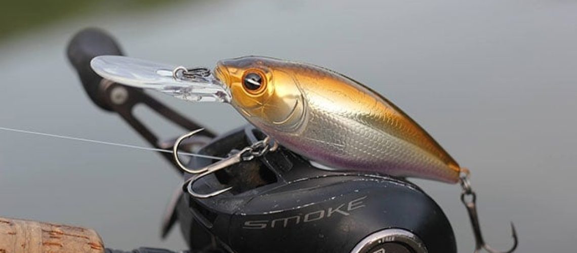 The Different Types of Fishing Lures