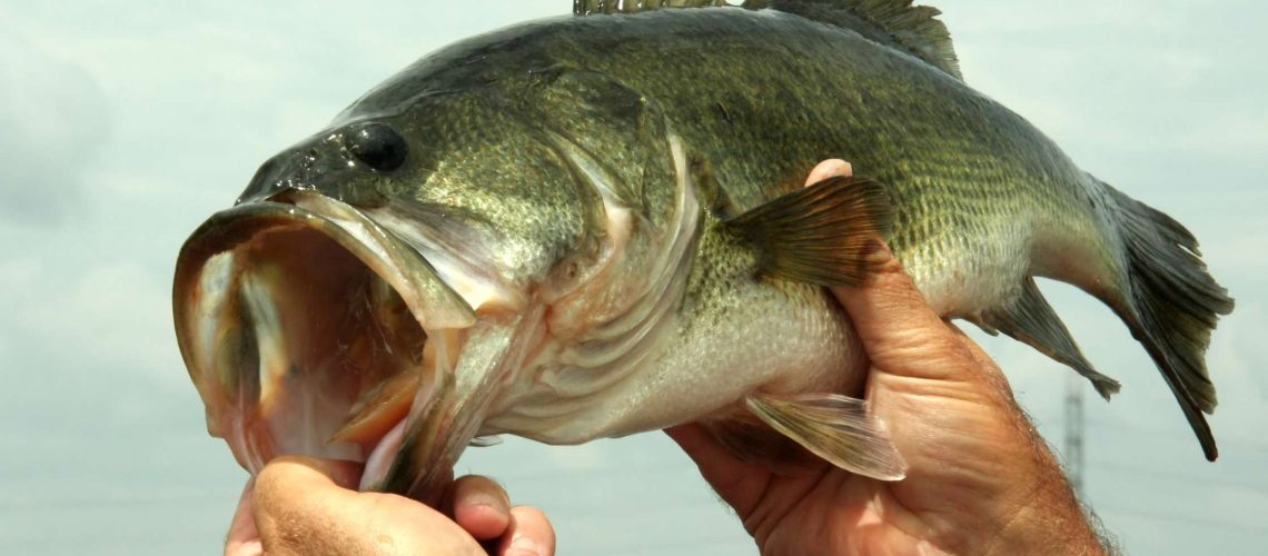 How To Use Wind To Your Advantage When Bass Fishing