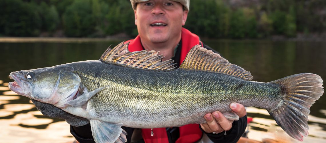 Walleye Fishing With a Planer Board