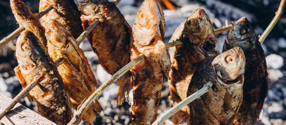 Ways Of Preparing Fish Over A Campfire