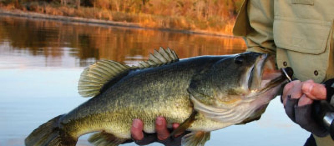 Bass fishing in fall