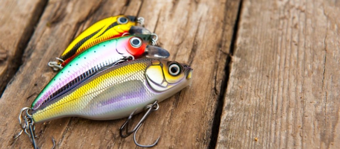 Should You Go For Artificial Or Live Bait? - Yellow Bird Fishing Products